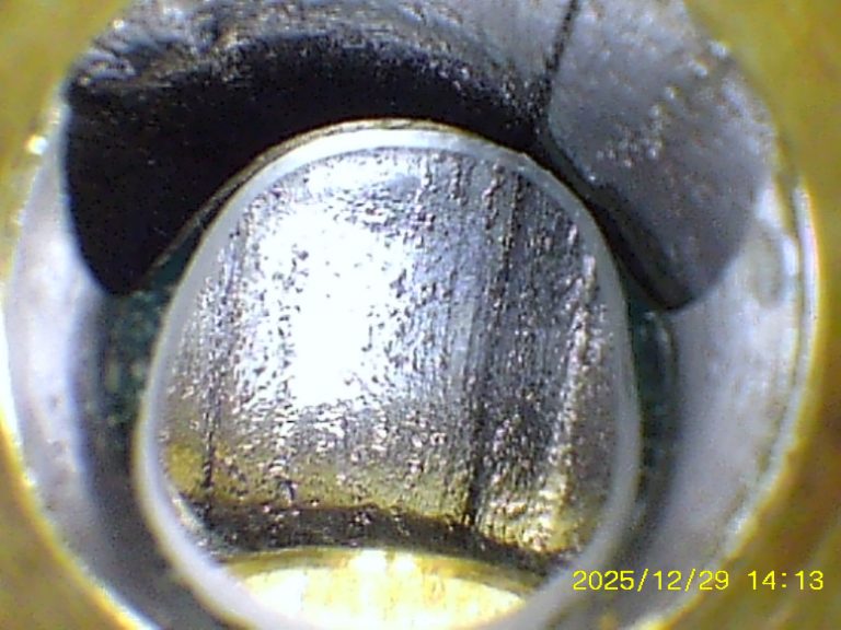 DWM M1895: radialer Blick in den Lauf