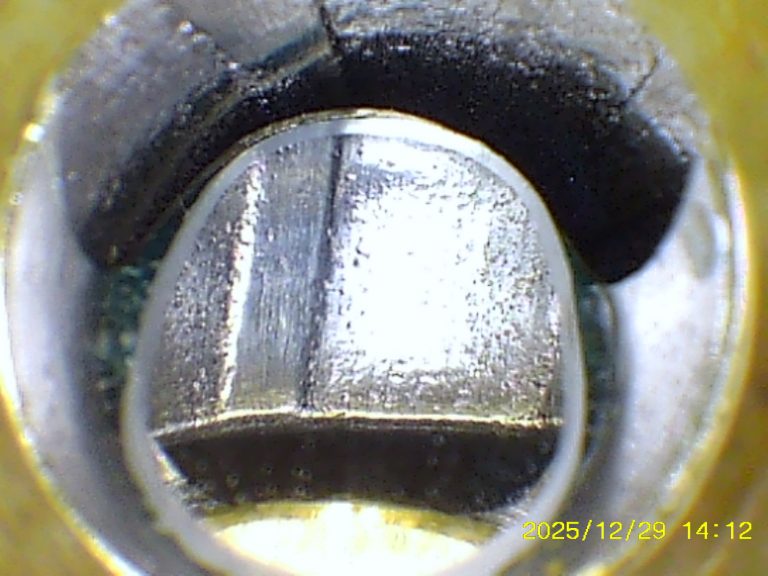 DWM M1895: radialer Blick auf die Mündung