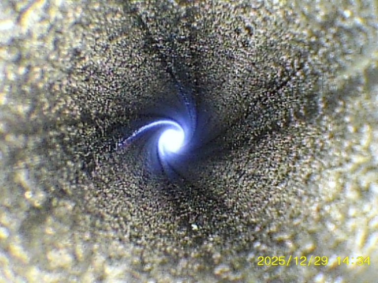 DWM M1895: axialer Blick in den Lauf