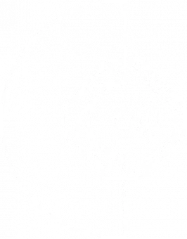 Favicon_IBoWV_400x512px_white-rembg